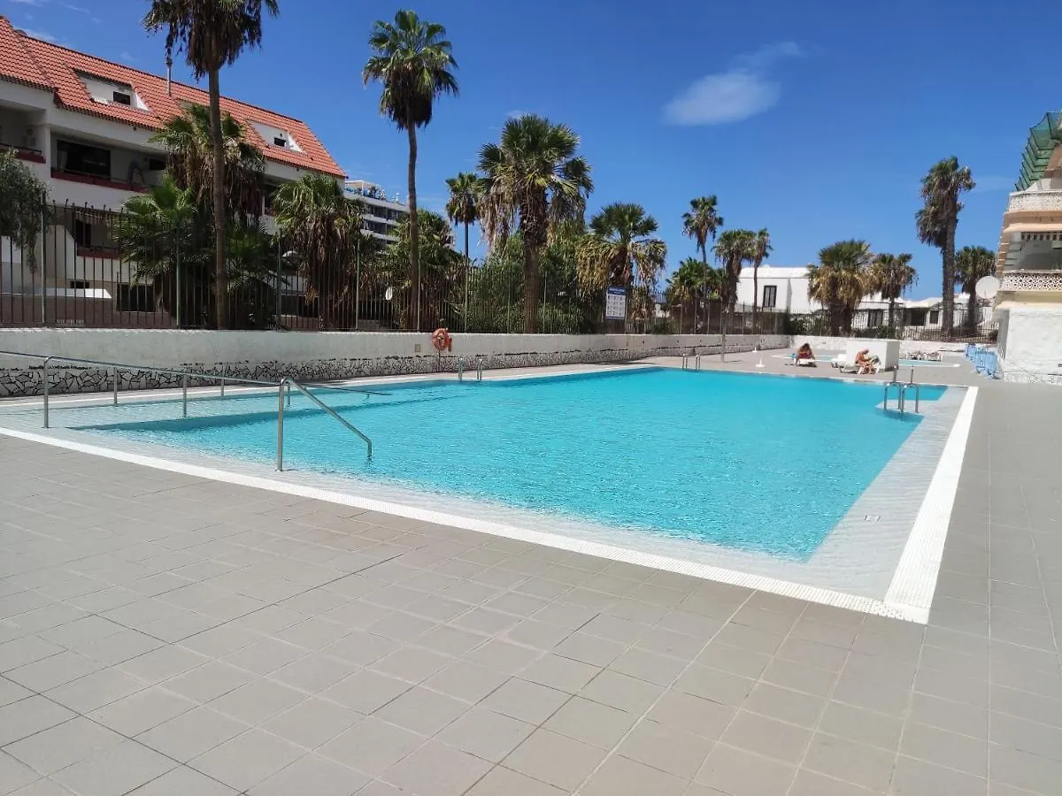 Apartamento Tenerife Sur Playa de las Americas  Apartment Playa de las Americas (Tenerife)